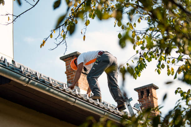 Best Storm Damage Roof Repair  in Columbus, NM